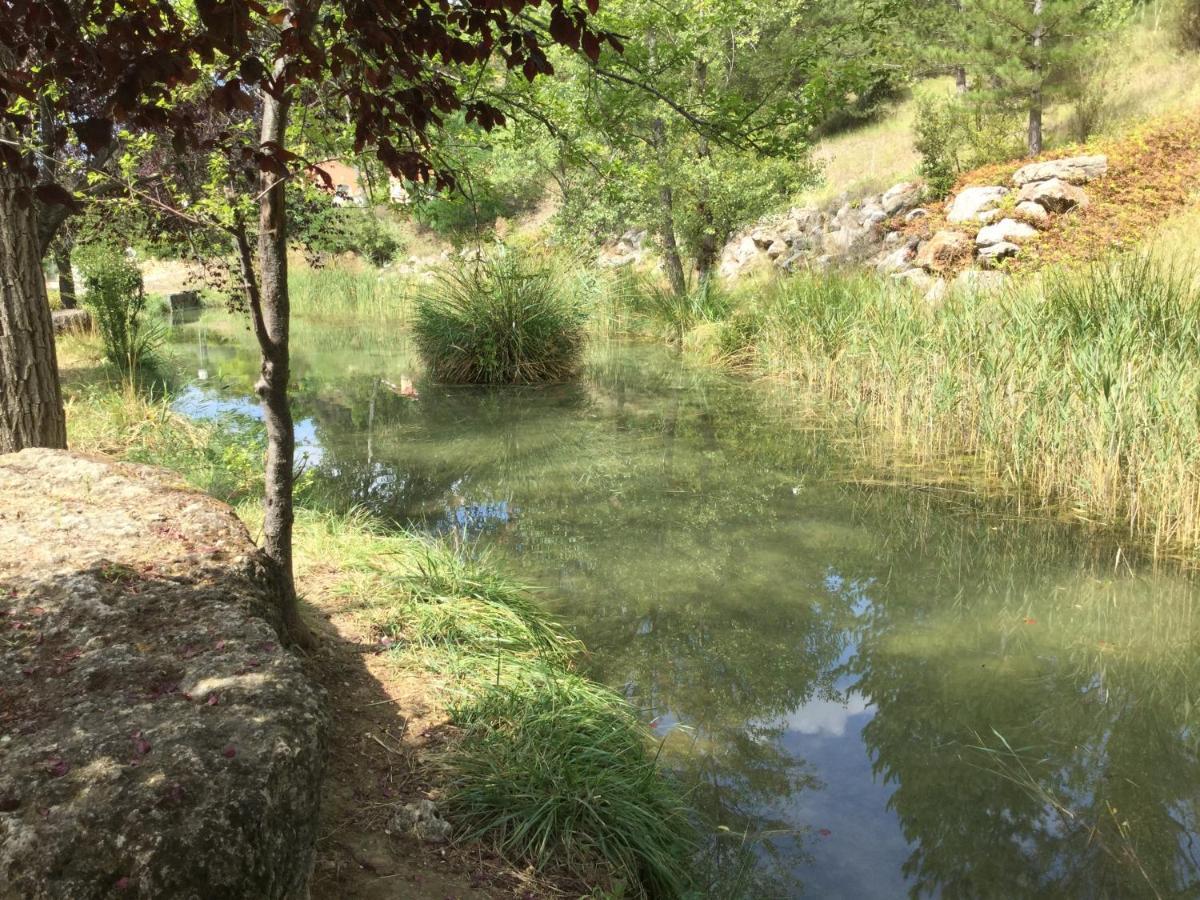 Mazet Tournesol Aux Portes Du Verdon Saint-Martin-de-Brômes 외부 사진